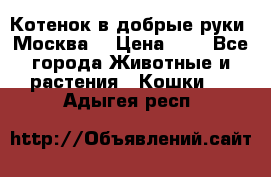 Котенок в добрые руки. Москва. › Цена ­ 5 - Все города Животные и растения » Кошки   . Адыгея респ.